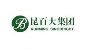 昆百大A與商品批發(fā)貿(mào)易的協(xié)同發(fā)展分析